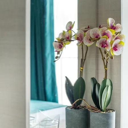 Хотел хотел панорама 2*