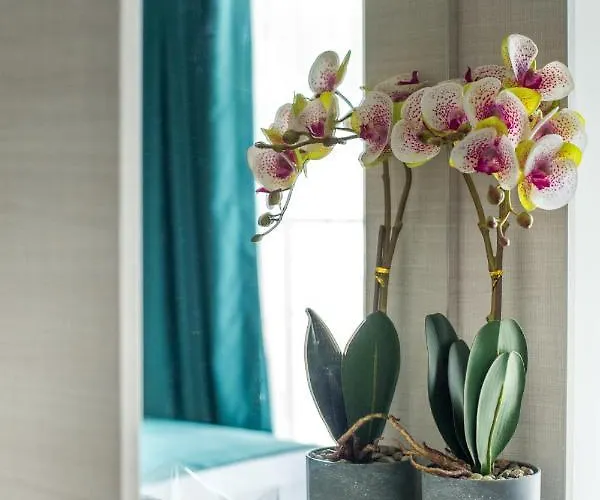 Hotell хотел панорама 2*